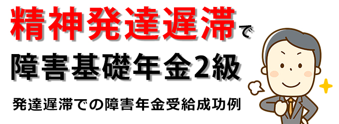 精神発達遅滞で障害年金の受給成功例